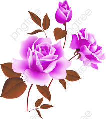 Red flower wallpaper natures wallpapers pinterest rose flower. Red Roses Material Rose Flower Images Hd Transparent Cartoon Jing Fm
