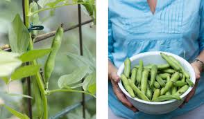 Maybe you would like to learn more about one of these? Grow Lights And Cats