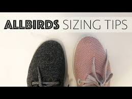 Allbirds Sizing Tips To Buy The Right Pair Youtube