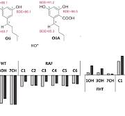 Computational assessment of the primary and secondary ...