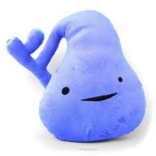 Gallbladder Plush You Ve Got Gall Plush Organ Stuffed Toy Pillow Cute Plush Gallbladder Gallbladder Surgery