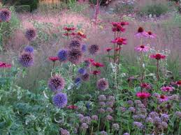 25 Wunderschone Piet Oudolf Garten Sommer Ideen Fur Inspiration Plants Perennials Prairie Garden