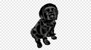 Weitere ideen zu tiere, lustige tiere, süße tiere. Cartoon Schwarzer Hund Tiere Schwarzes Clipart Png Pngegg