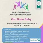 Gro Brain Baby Course