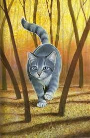 Silverstream Warrior Cats Warrior Cats Art Warrior Cat