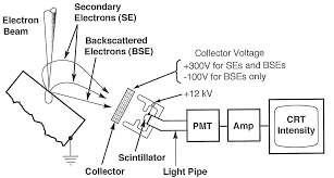 Electrons are collected by a positively biased grid in front of a scintillator biased at +10 kv. Https Www Uvic Ca Research Advancedmicroscopy Assets Docs Camtec 2010 Secondary Electron Detectors Pdf