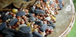 May 23, 2019 · your diy rat toys can provide you with endless flexibility. How To Keep Mice Rats And Squirrels Away From Bird Feeders Today S Homeowner