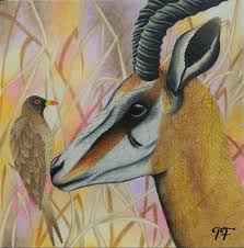 Images About Milliemarottawildsavannah Tag On Instagram Millie Marotta Animal Kingdom Millie Marotta Coloring Book Wild Savannah