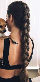 Fair Dutch Braid Long Hair Styles Thick Hair Styles Braids For Long Hair