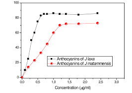 Image result for Justicia matammensis