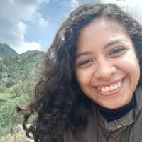 200+ perfiles de «Beatrice Avalos»