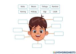 Check spelling or type a new query. Anggota Badan Online Exercise For Kindergarten
