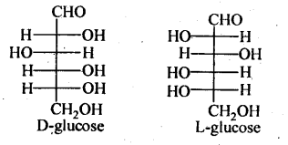 We also compile cbse academics curriculum / syllabus, cbse. Biomolecules Class 12 Notes Chemistry Chapter 14 Learn Cbse