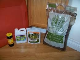 Maybe you would like to learn more about one of these? Root Rot In Hydroponic Plants Prevention And Cure