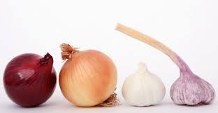 Agar kita dapat membedakan umbi lapis dengan tanaman jenis yang lainnya di bawah ini terdapat beberapa ciri dari tanaman di antaranya yaitu 50 Contoh Tumbuhan Monokotil Pengertian Dan Ciri Cirinya