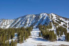 6 Best Ski Resorts In Nevada Planetware