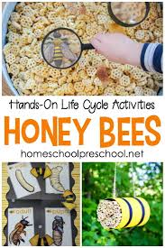 It's simple, it's effective and it helps my kids decompress when they need it the most. Honey Bees For Kids The Best Hands On Life Cycle Activities