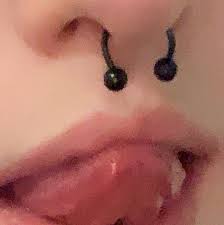 Queenofd1staster Joias Para Piercing No Septo Ideias Para Piercings Piercings Bonitos