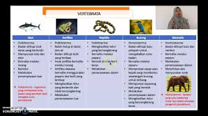 * * sesetengah haiwai mempunyai suatu * sesetengah haiwan mempunyai bulu litupan bulu pada badannya. Sains Tingkatan 2 Bab 1 Biodiversiti 1 2 Pengelasan Organisma Youtube