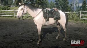 Buttermilk, an american quarter horse gelding, appeared in many episodes of the roy rogers show and lived until past the age of 30. Buttermilk Buckskin Kentucky Saddler Rdr2 Red Dead Online Horses Database Stats Locations