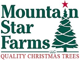 Check spelling or type a new query. Mountain Star Farms Mail Order Christmas Trees And Wreaths