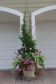 We did not find results for: Annual Planting Garden Containers Container Gardening Flowers Container Flowers