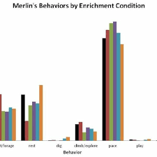 This Chart Indicates What Proportion Of Merlins Activity
