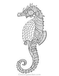 You can use all designs in printed paperback or hardcover coloring books (but not. Seahorse Coloring Pages Pictures To Develop Kids Creativity Whitesbelfast Com