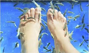 Afp 181.330 views10 years ago. Ou Faire Une Fishpedicure A Paris
