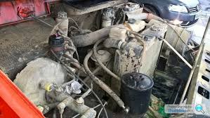 Image result for Red Marina 1994 UMM