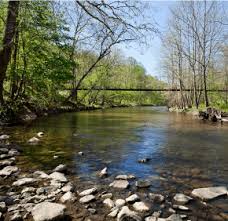 Five years after Laudato Si, and 50 after the first Earth Day