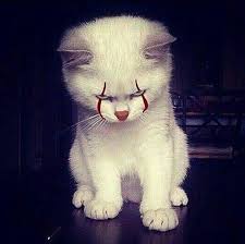 Que Miedo Rotthades It Pennywise Fanart Geek Fandom Kittens Cats Cute Animals Cute Baby Animals Cute Funny Animals