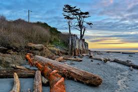 Maybe you would like to learn more about one of these? Kalaloch Lodge An Ocean Getaway Near Seattle Travelffeine