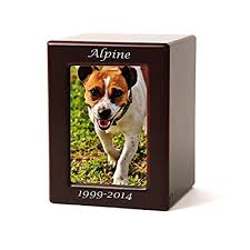 How much does raising a cat cost a month? Buy Photo Frame Wood Memorial Pet Urn Small With Engraving Holds Up To 40 Cubic Inches Of Ashes Brown Cremation Urn For Cat Dog Custom Engraving Included Online In Canada B01appaw48