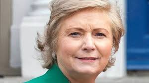Justice Minister Frances Fitzgerald wants watchdog for criminal justice  sector