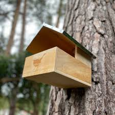 Image result for Flyte Blackbird Nest Box