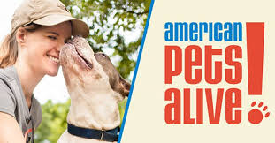 In august of 2001 we also became the contract housing facility for craig county's homeless animals. American Pets Alive No Kill Shelter Resources