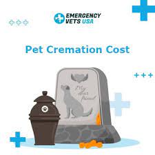 Please call ahead of time to make an appointment or click the link below. Understanding Pet Cremation Cost What Options Are Available To You