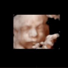 Madison Hollabaugh (@madisonhollabaugh) • Fotky a videá na Instagrame