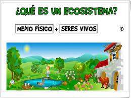 Aprende qué es un ecosistema, cómo se mueven la materia y la energía a través de él y qué lo hace estable. Que Es Un Ecosistema Ciencias Naturales De Primaria Ecosistemas Ciencias Naturales Proyectos De Ecosistemas