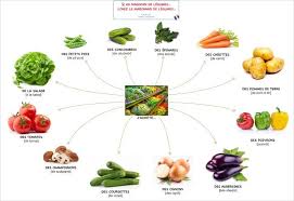 Les Produits 2 Et 3 Au Magasin De Fruits Et De Legumes Chez Le Marchand De Fruits Et De Legumes Fle A L A1