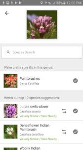 It enables you to find out different plants, mushrooms, moss, lichens, and even fungus. 7 Best Plant Identification Apps For Android Android Apps For Me Download Best Android Apps And More