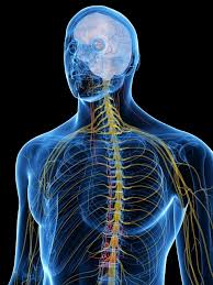 This is our internet site. 19 Factors That May Stimulate Your Vagus Nerve Naturally Selfhacked