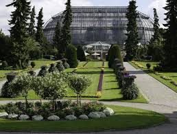 Botanischer Garten Und Botanisches Museum Visitberlin De