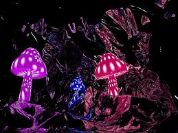Find and download trippy mushroom wallpapers wallpapers, total 23 desktop background. 49 Magic Mushrooms Wallpaper On Wallpapersafari