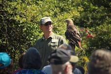 Raptor Rambles