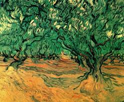 Vincent Van Gogh Olive Trees 1889 Vincent Van Goghsize 53 5x64 5 Olive Tree Painting Van Gogh Art Van Gogh Olive Trees