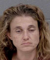 Michelle Ruff Breaking And Entering