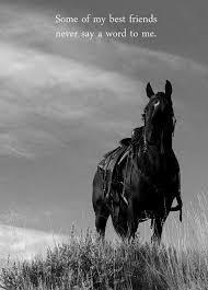 Pin By Ashton Tolman On So Me Horse Quotes Horse Riding Quotes Horses