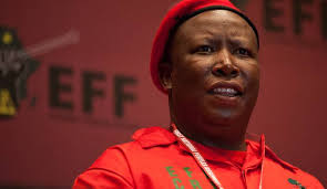 When a woman didn't enjoy it, she leaves early in the morning. Five Malema Quotes That Are Becoming A Reality Africanglobe Net